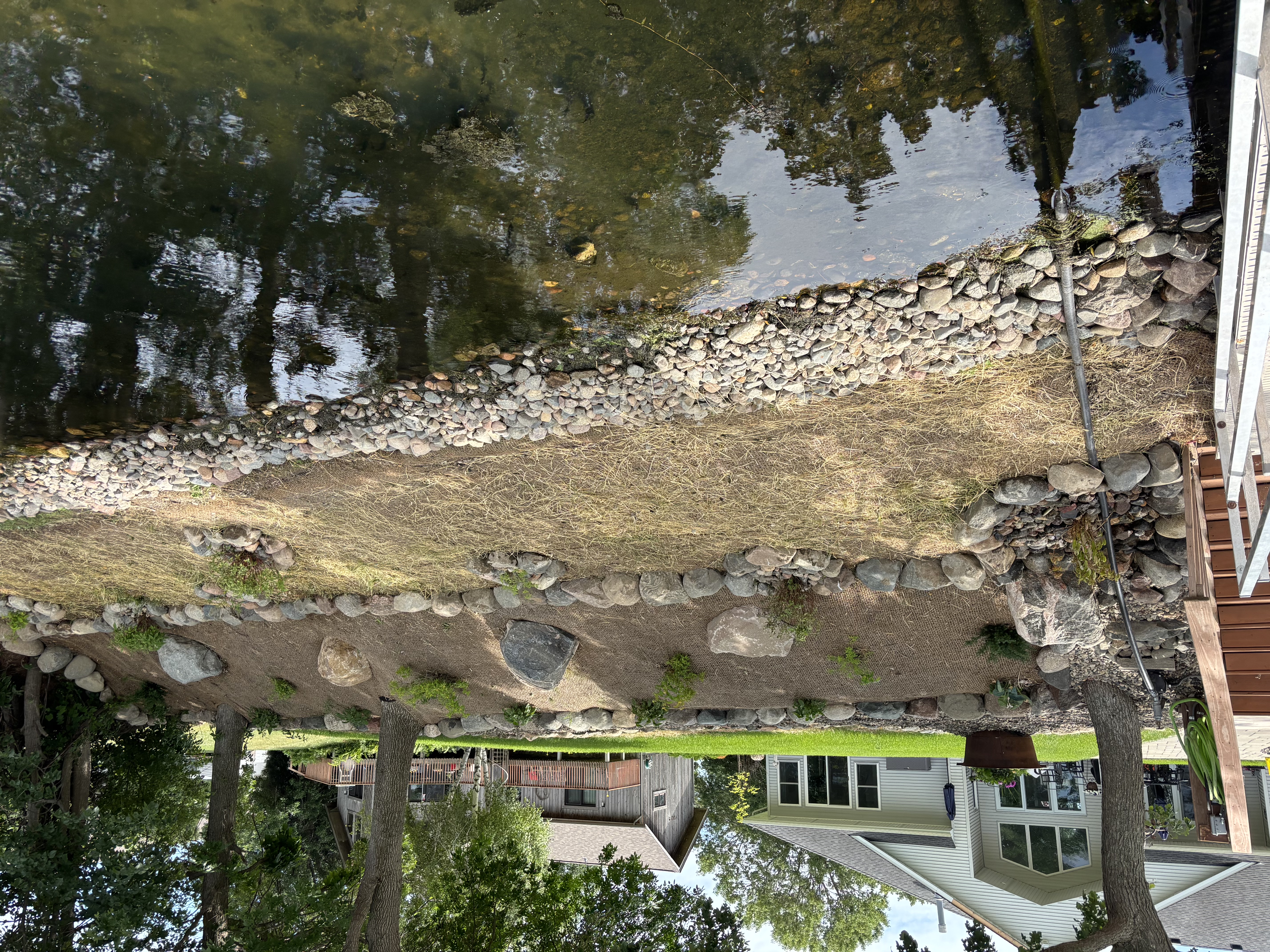 Restoring native plants along shoreline